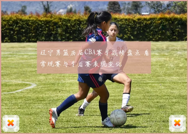 辽宁男篮历届CBA赛季战绩盘点 看常规赛与季后赛表现变化