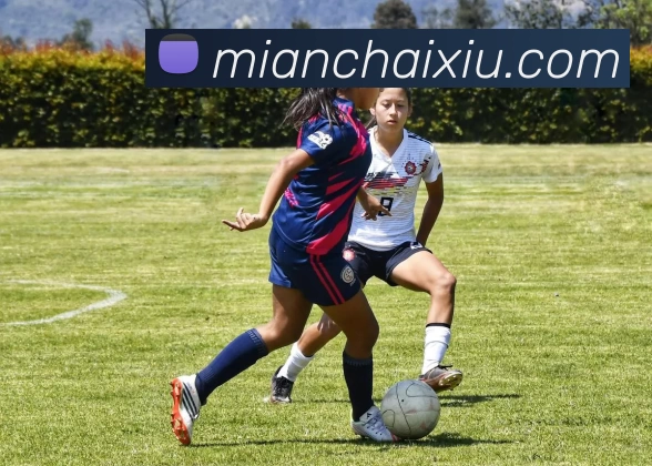 数据防护可视化